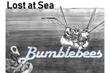 Lost At Sea & Bumblebees