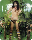 KonzipierBar: «Zappa»